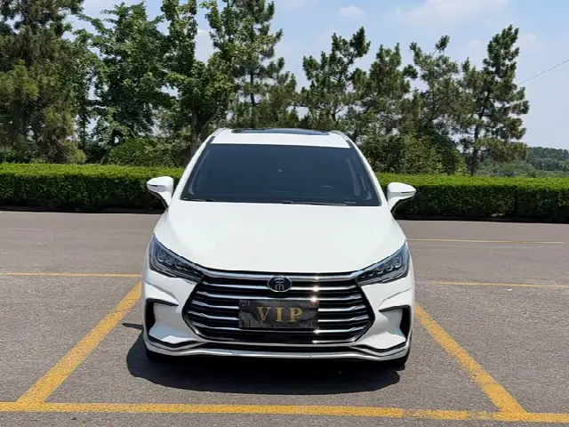 BYD Song Max 2021, 61 000 км