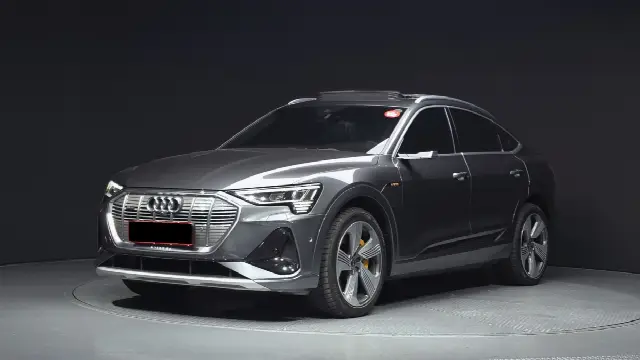 Audi e-tron 2020, 103 450 км