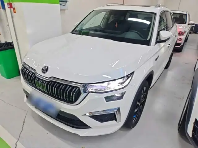 Skoda Kodiaq 2022, 80 100 км