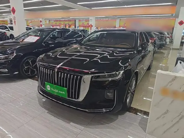 Hongqi H9 2020, 59 000 км