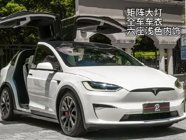 Tesla Model X 2023, 30 000 км