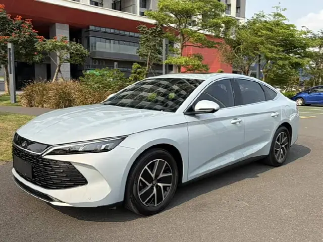 BYD Qin L 2024, 22 600 км