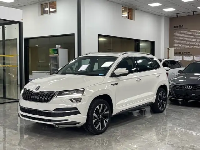 Skoda Karoq 2023, 24 000 км