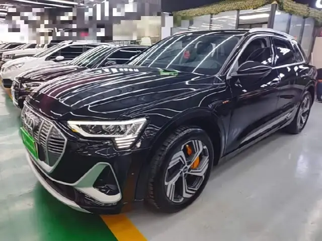 Audi e-tron 2021, 94 000 км
