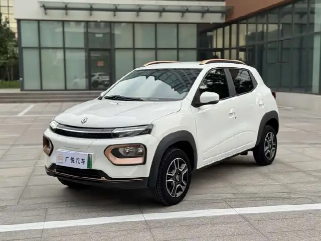 Dongfeng Yipai Nano EX1 2023, 28 000 км