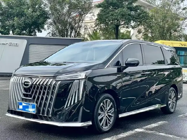 GAC Trumpchi M8 2024, 80 000 км