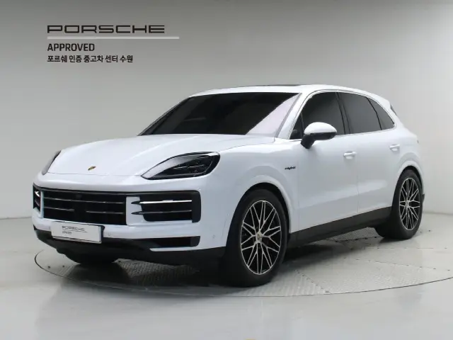 Porsche Cayenne 2019, 3 124 км