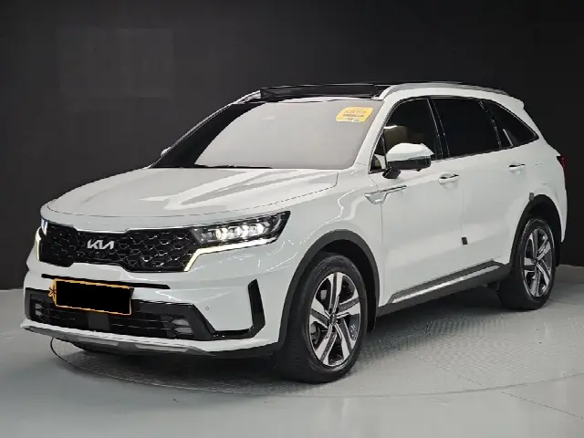 Kia Sorento 2020, 46 459 км