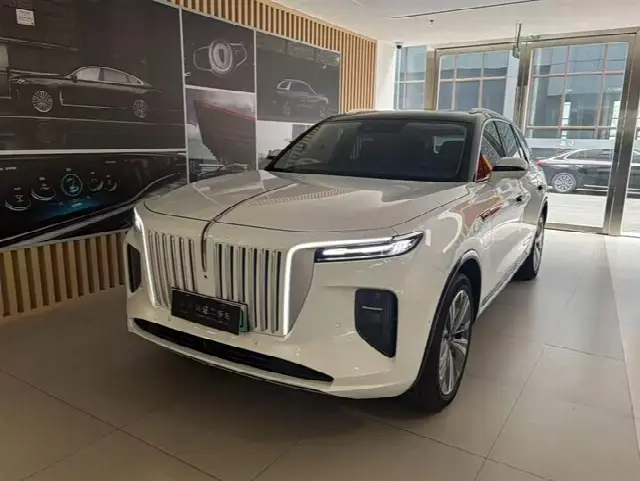 Hongqi E-HS9 2022, 21 500 км