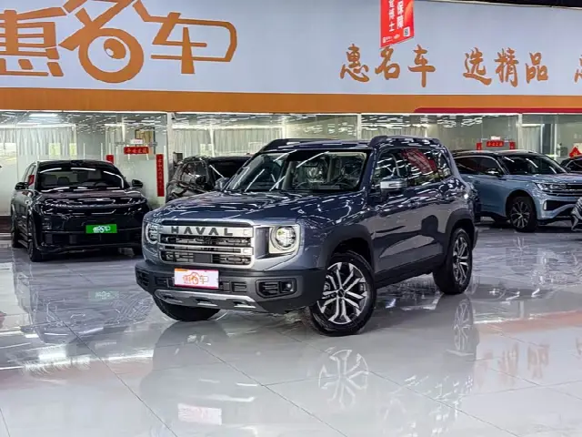 Haval Dargo 2024, 100 км