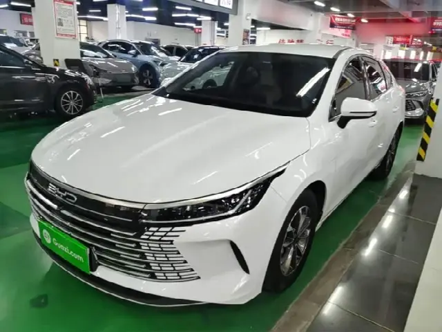 BYD Destroyer 05 2024, 24 500 км