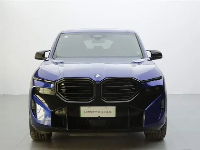 BMW XM 2023, 13 700 км