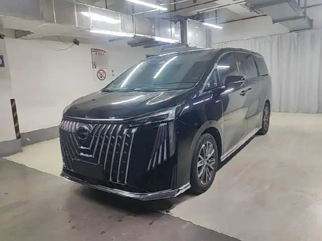 GAC Trumpchi M8 2024, 68 600 км