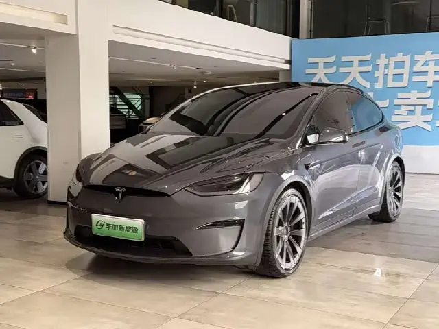 Tesla Model X 2023, 54 600 км