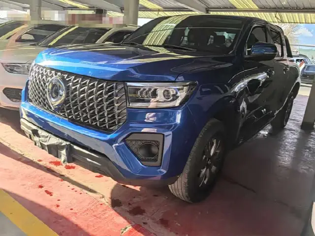 Great Wall Pao 2023, 25 000 км