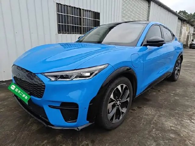 Ford Mustang Mach-E 2021, 93 600 км