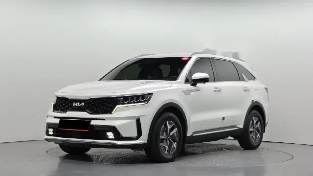 Kia Sorento 2020, 81 880 км
