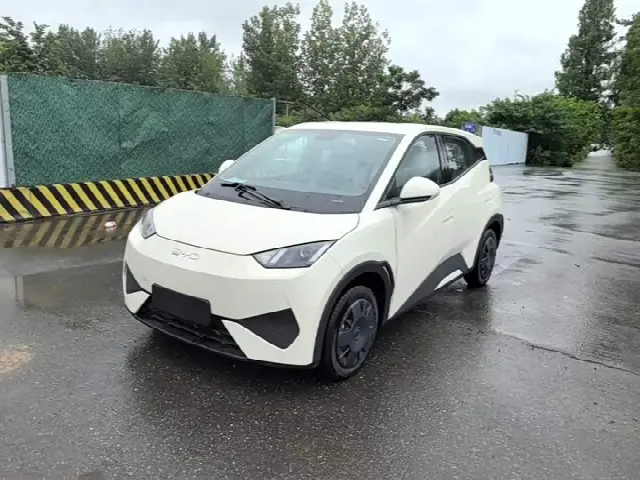 BYD Seagull 2025, новый