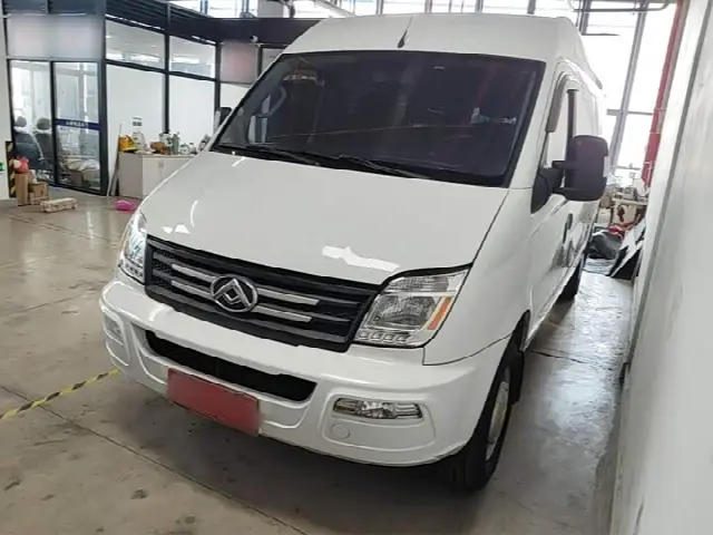 Maxus V80 2023, 74 200 км