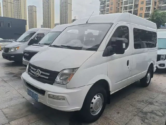 Maxus V80 2023, 100 000 км