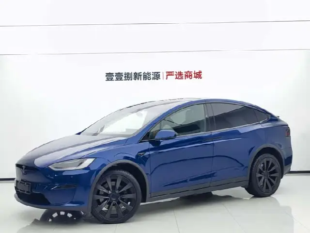 Tesla Model X 2023, 25 000 км