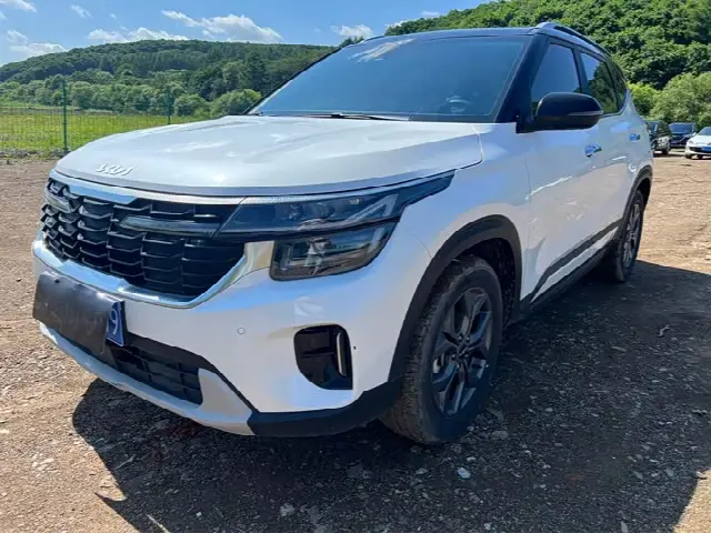 Kia Seltos 2023, 16 700 км