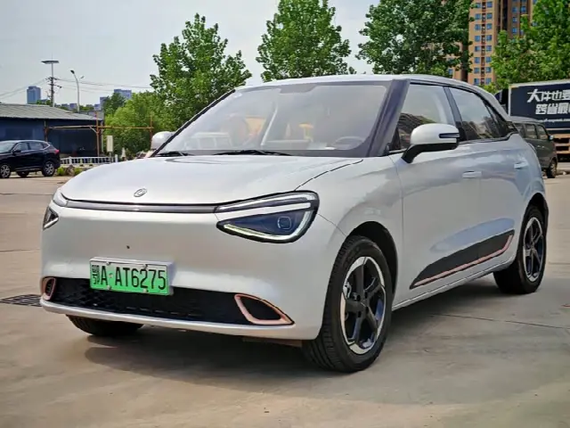 Dongfeng Yipai Nano 01 2024, 4 000 км