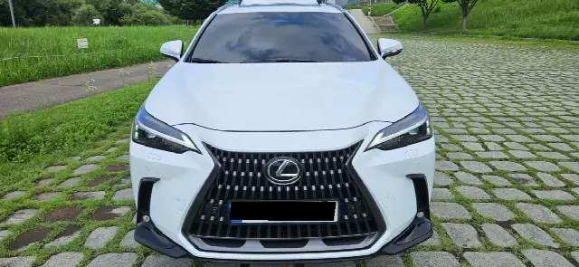 Lexus NX 2022, новый