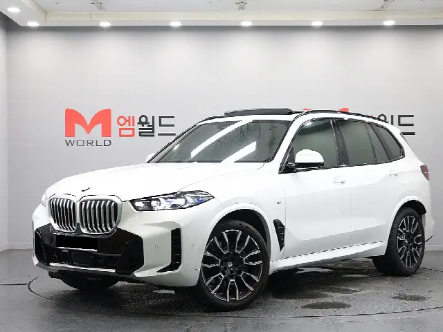 BMW X5 2019, 6 900 км