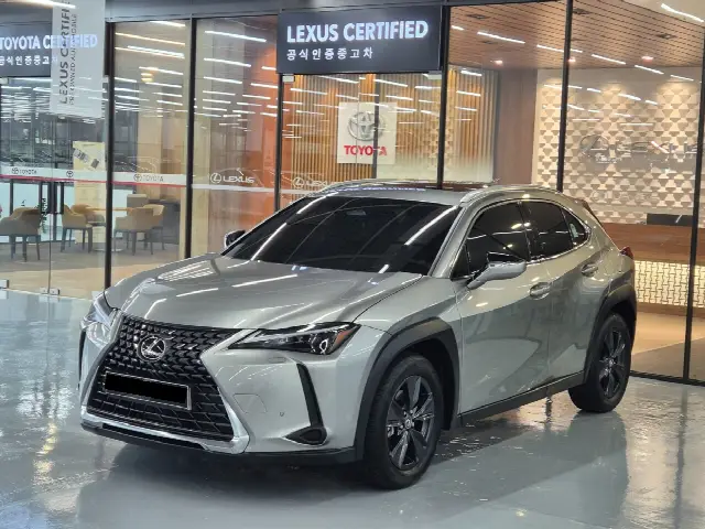 Lexus UX 2024, 4 647 км