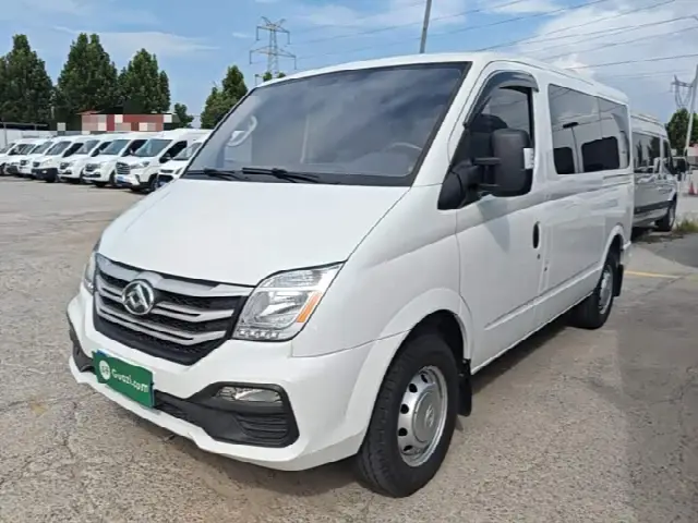 Maxus V80 2023, 82 000 км