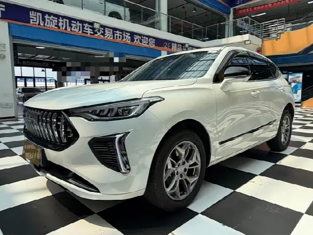 Haval Chitu 2023, 46 000 км