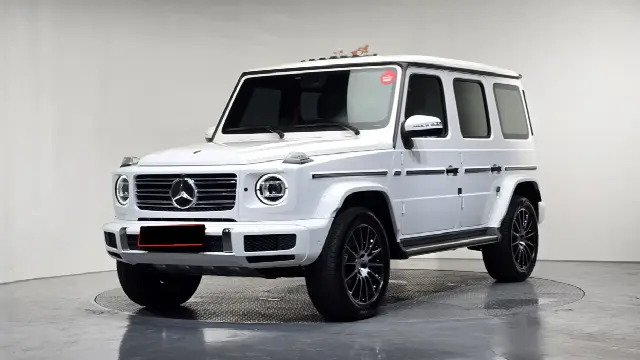 Mercedes-Benz G-Class 2019, 26 166 км
