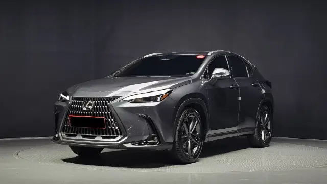 Lexus NX 2022, новый