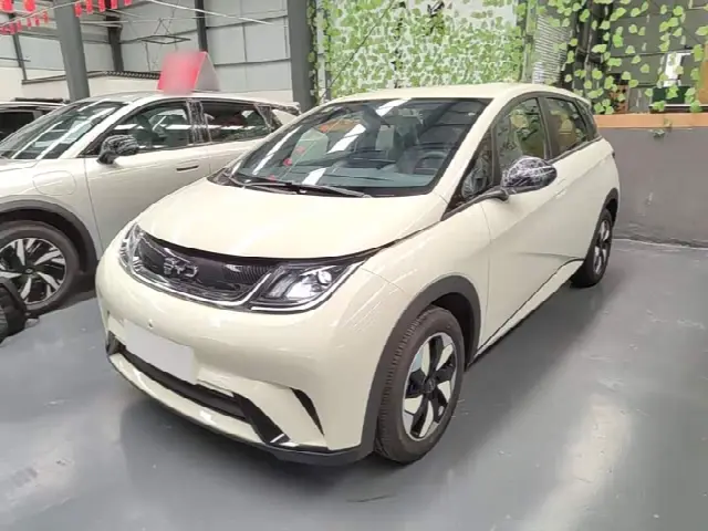 BYD Dolphin 2025, новый