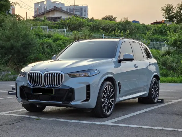 BMW X5 2019, 4 000 км