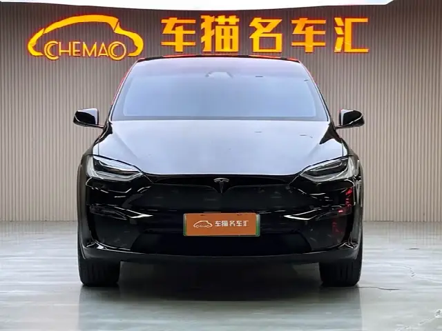 Tesla Model X 2023, 60 000 км