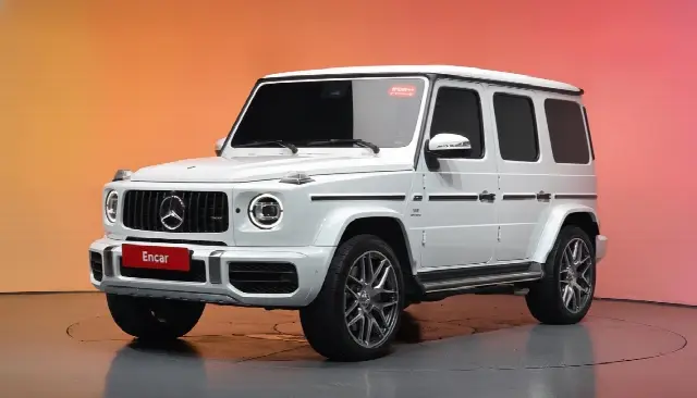Mercedes-Benz G-Class 2019, 19 831 км