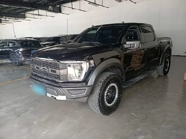 Ford F-150 Raptor 2023, 18 300 км