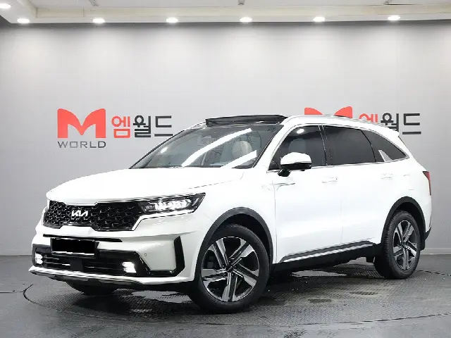 Kia Sorento 2020, 57 816 км