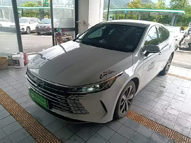 BYD Destroyer 05 2024, 94 600 км