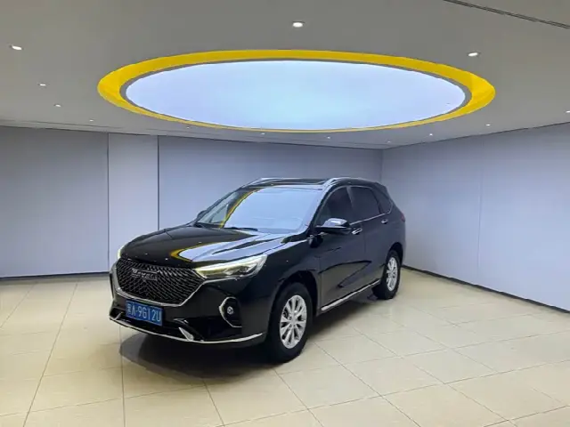Haval M6 2021, 40 000 км