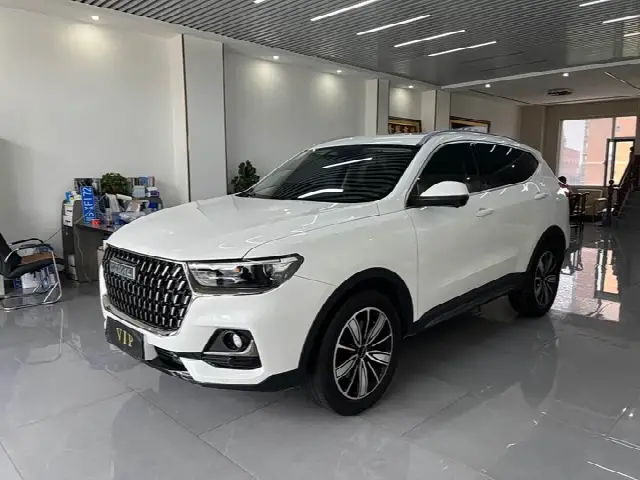 Haval H6 2023, 38 000 км