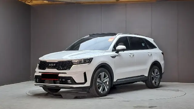 Kia Sorento 2020, 38 280 км