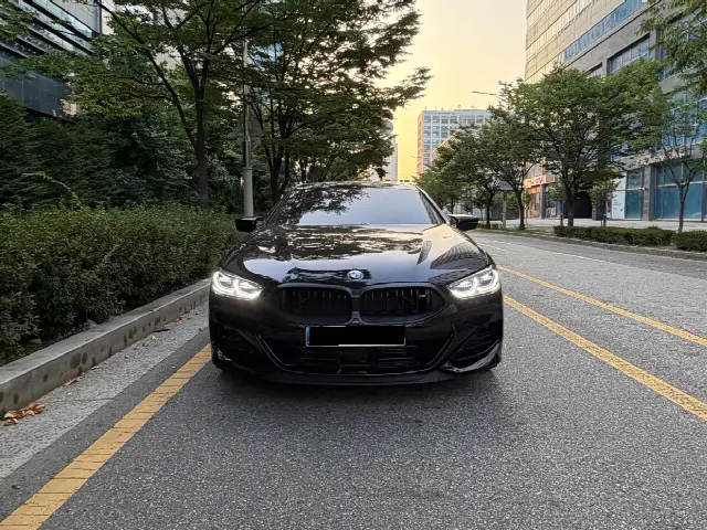 BMW 8 Series 2019, новый
