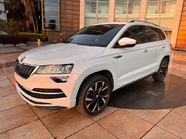 Skoda Karoq 2023, 19 900 км