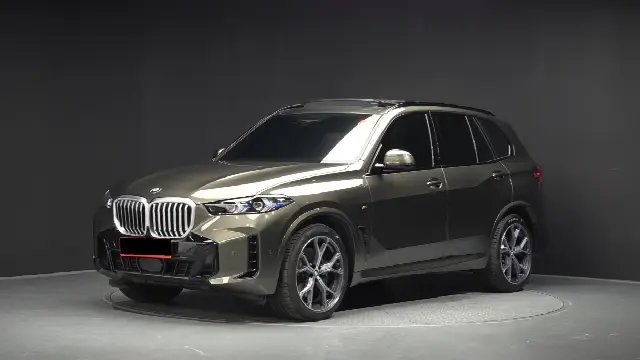 BMW X5 2019, 4 010 км