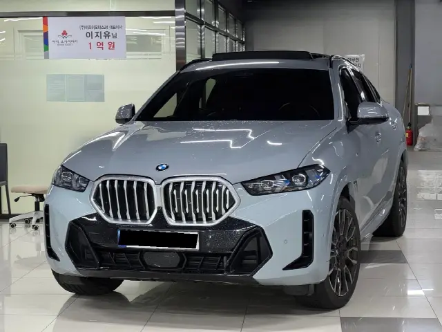 BMW X6 2020, 6 100 км