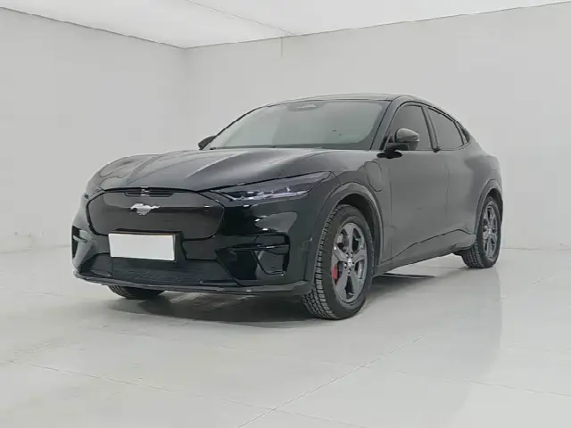 Ford Mustang Mach-E 2021, 66 000 км