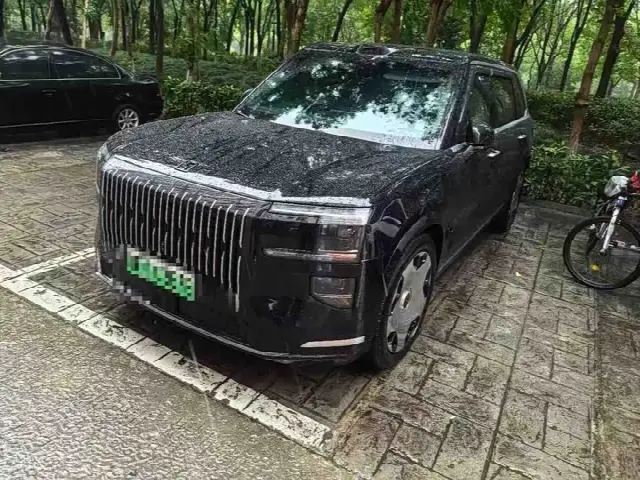 Zeekr 9X 2025, 28 500 км